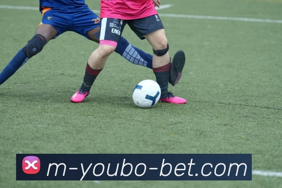 YB友博网站服务体系