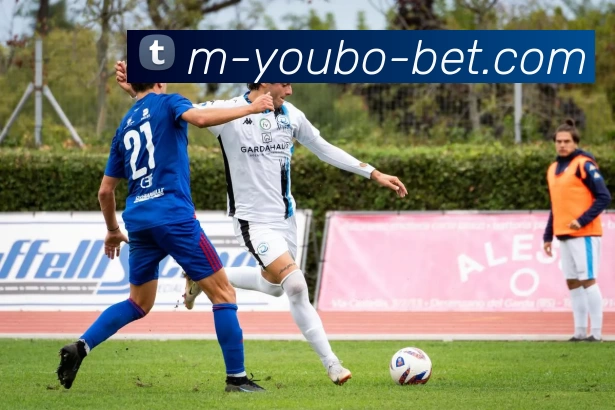 YB友博网站APP 封面图